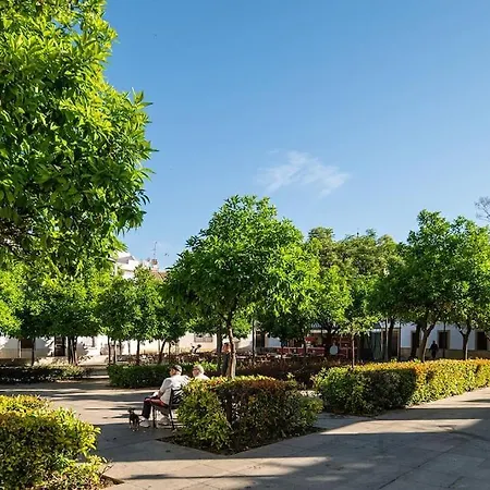 Premium - Arcos De Medina 201 Apartment