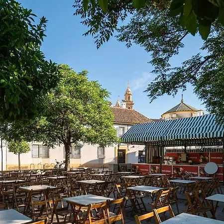 Premium - Arcos De Medina 201 Cordoba