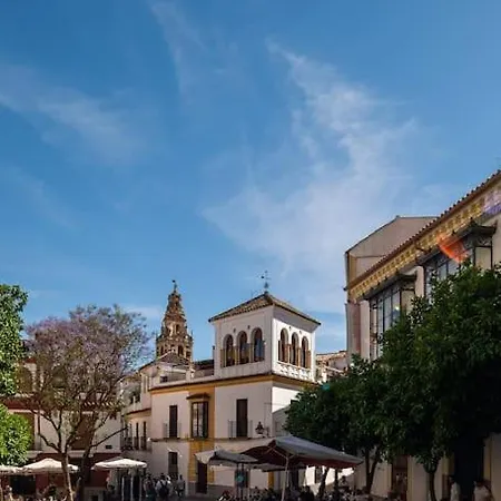 Premium - Arcos De Medina 201 *