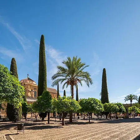 Apartment Premium - Arcos De Medina 201 Cordoba