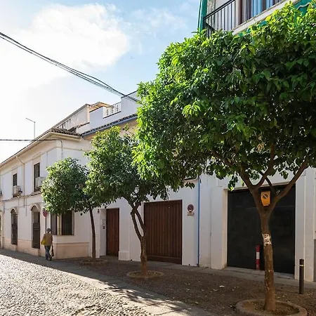 Apartment Premium - Arcos De Medina 201 Cordoba