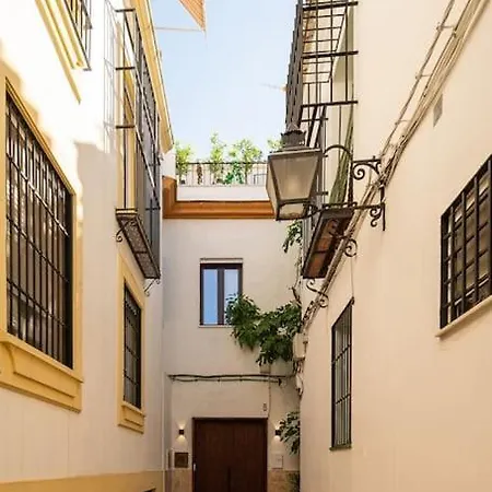 Premium - Arcos De Medina 201